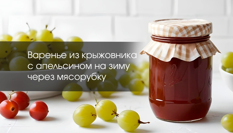 Варенье из крыжовника с апельсином на зиму через мясорубку